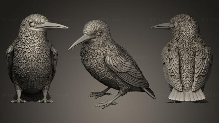 Bird figurines (Kingfisher sitting, STKB_0043) 3D models for cnc
